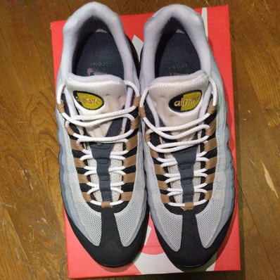 Nike Air Max 95 "Icons"