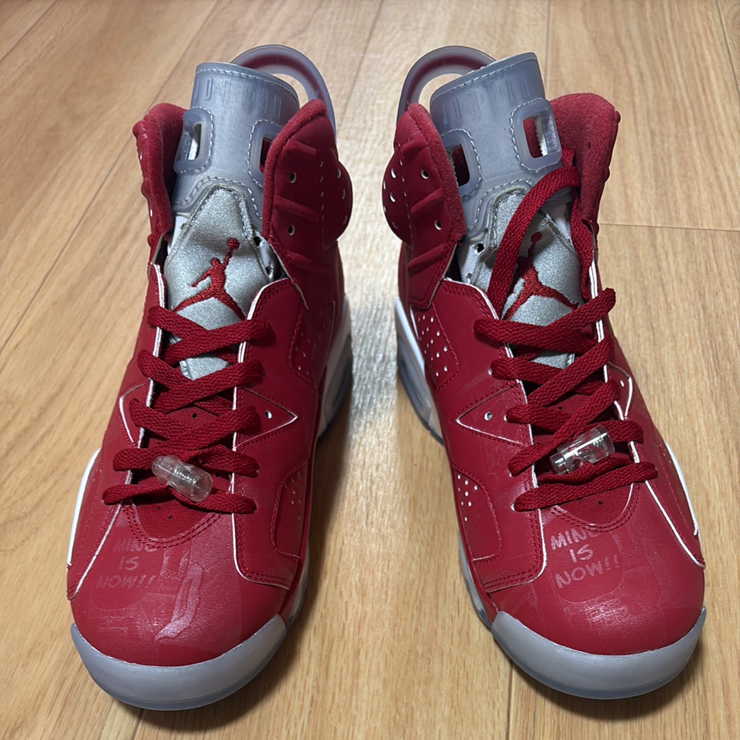 Nike Air Jordan 6 RETRO "SLAM DUNK"