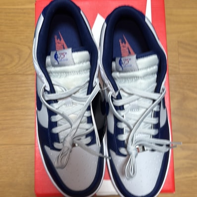 NBA × Nike Dunk Low EMB 75th Anniversary "Nets"
