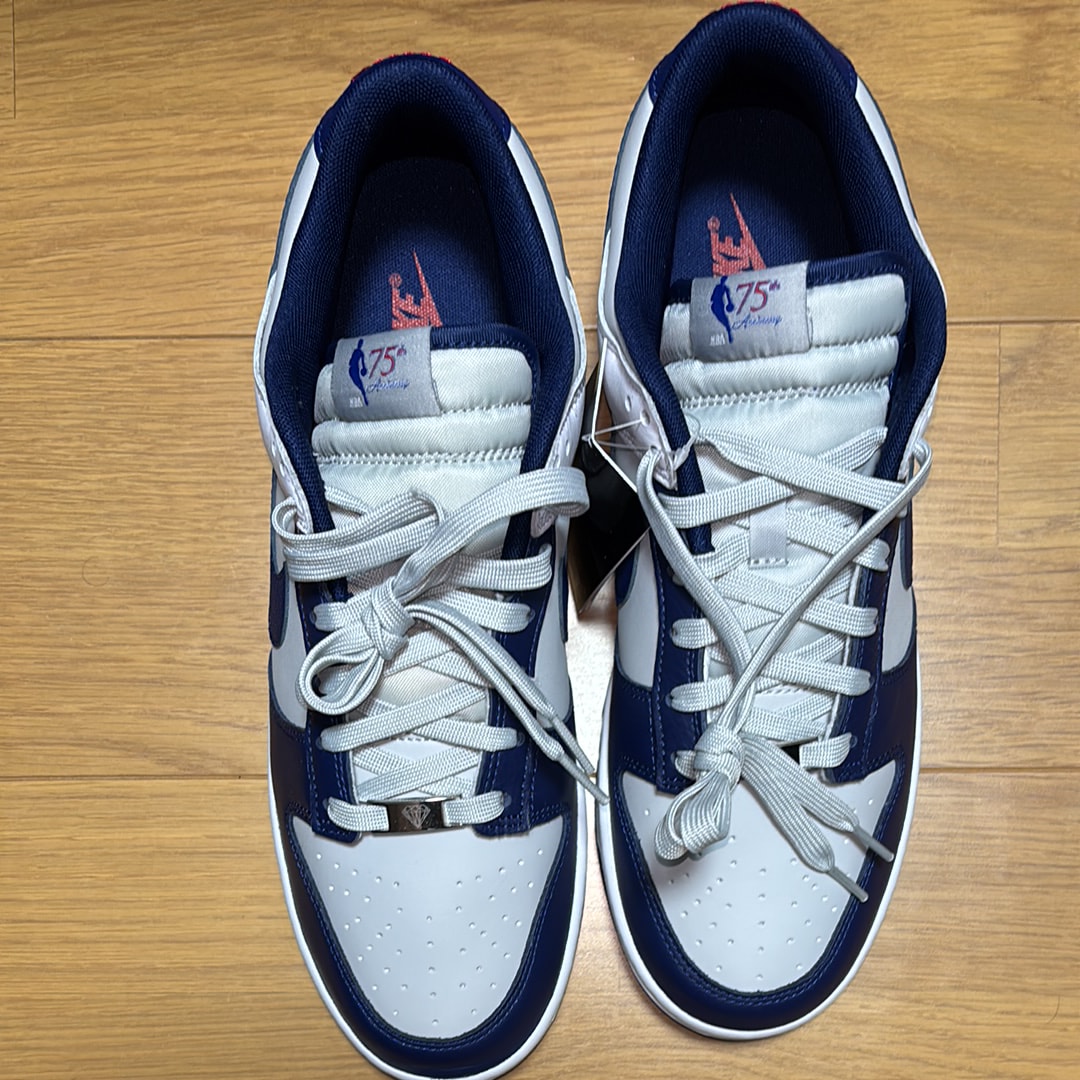 NBA × Nike Dunk Low EMB 75th Anniversary "Nets"