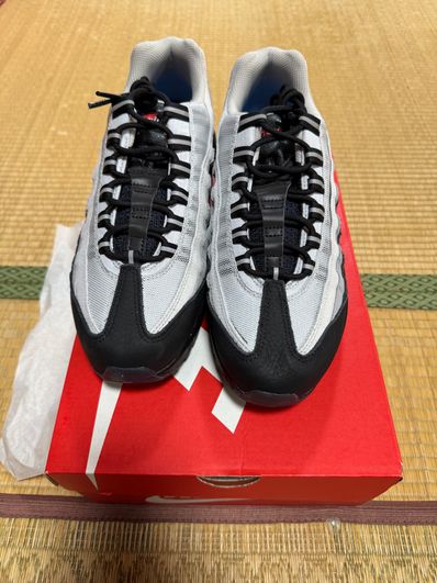 Nike Air Max 95 Koi "Pure Platinum"