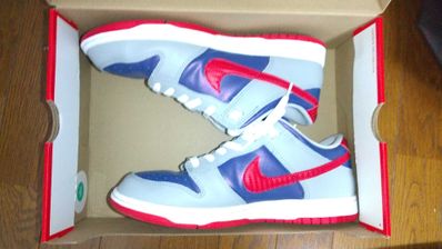 Nike Dunk Low "Samba"