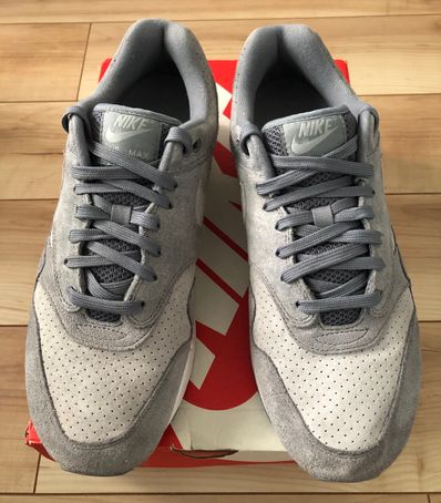 Nike Air Max 1 "Cool Grey/Wolf Grey"