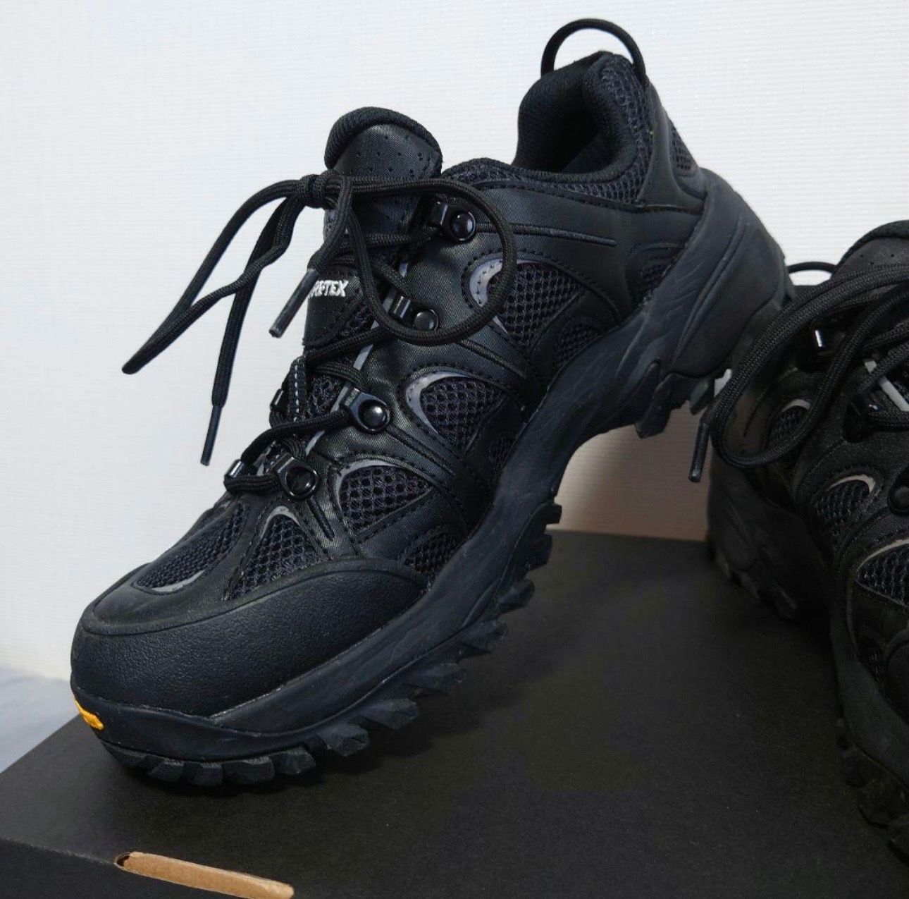 ザノースフェイス ヘッジホッグ RVST ゴアテックス "TNFブラック/TNFホワイト" (NF02541)