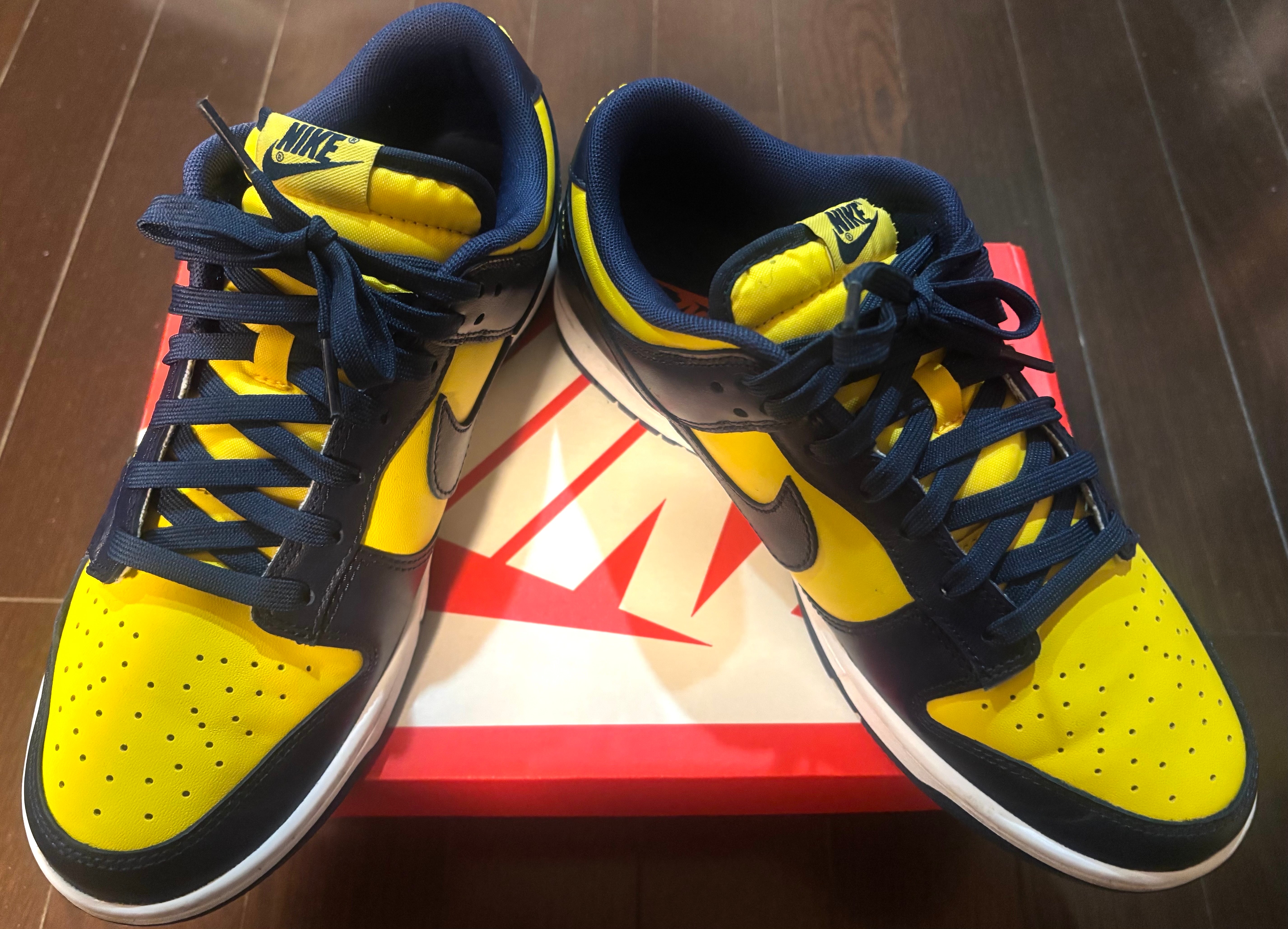 Nike Dunk Low "Michigan"