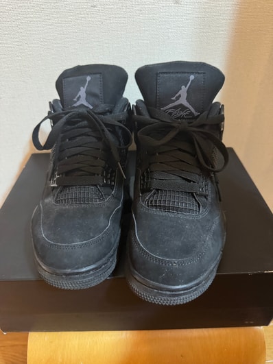 Nike Air Jordan 4 "Black Cat"