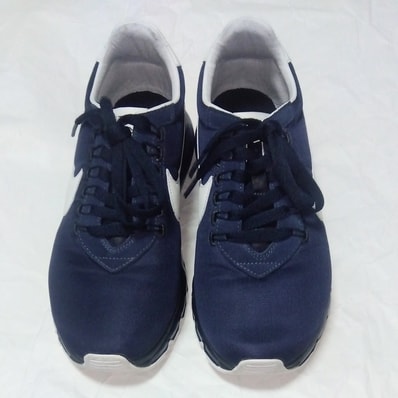 Nike Air Max LD-Zero H "Hiroshi Fujiwara"
