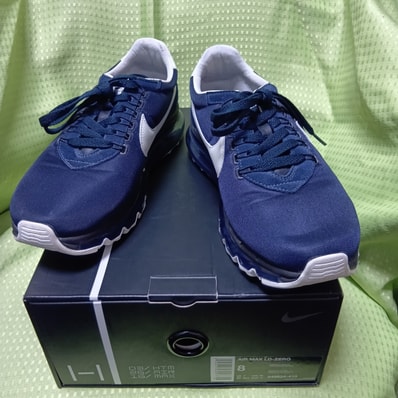 Nike Air Max LD-Zero H "Hiroshi Fujiwara"