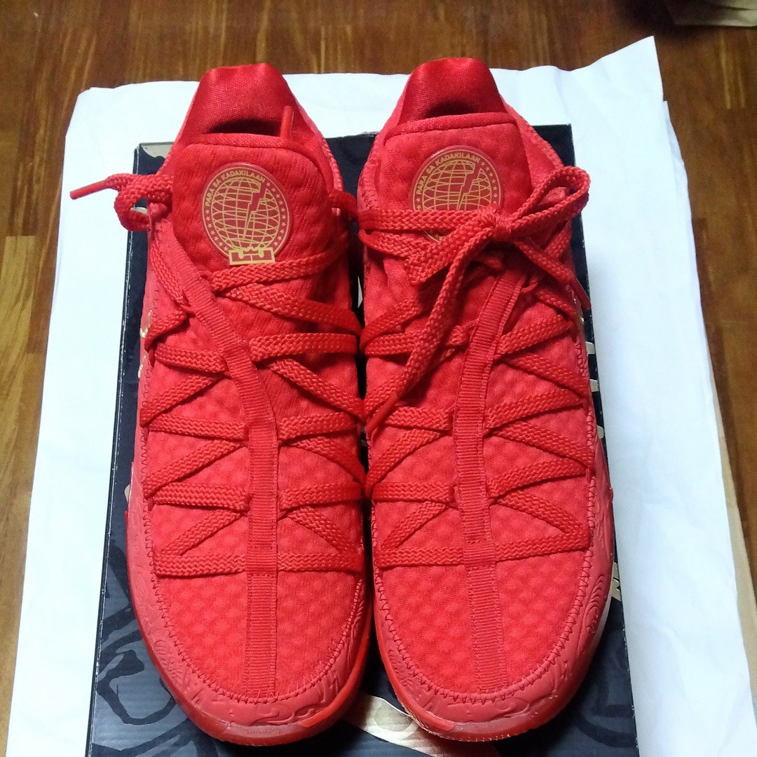 タイタン × ナイキ レブロン17 ロー タイタン "アギマットレッド"