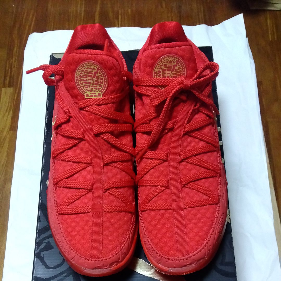 タイタン × ナイキ レブロン17 ロー タイタン "アギマットレッド"