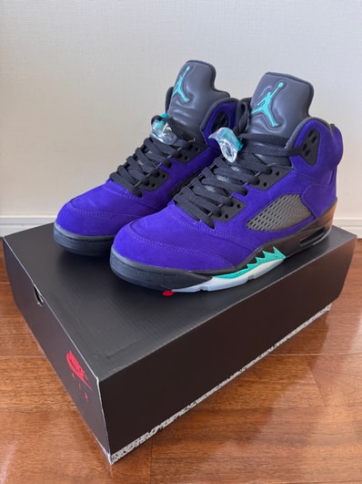 Nike Air Jordan 5 "Purple Grape"