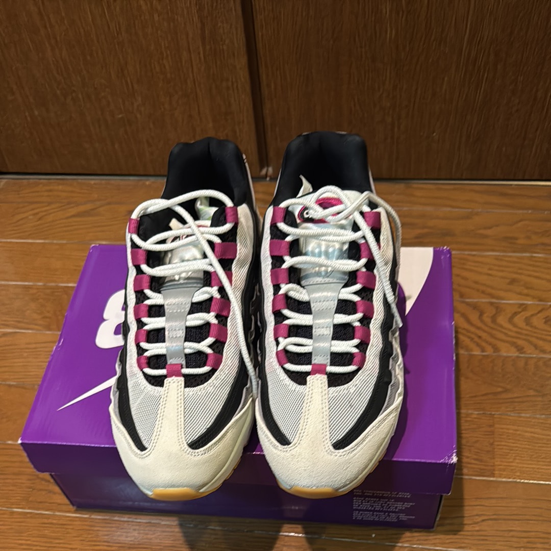 Nike SB Air Max 95 "Summit White/Cactus Flower"