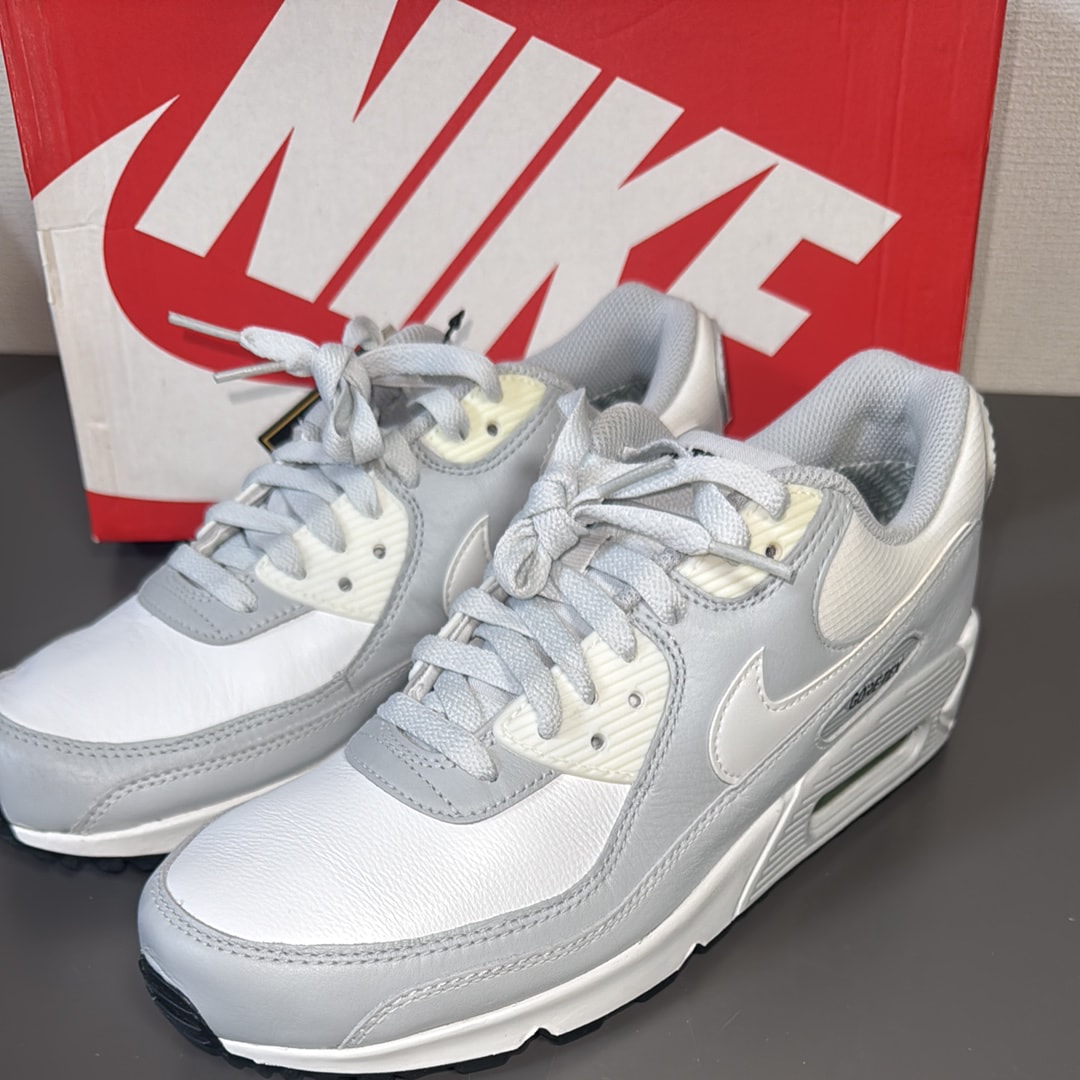 Nike Air Max 90 GORE-TEX "Photon Dust"
