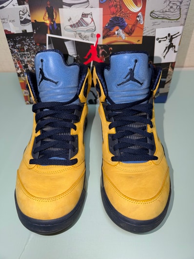 Nike Air Jordan 5 "Michigan"