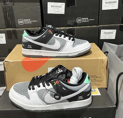 Nike SB Dunk Low Pro "VX1000 Camcorder"