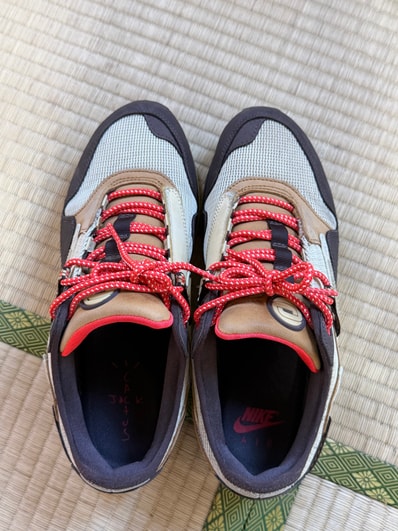 Travis Scott × Nike Air Max 1 "CACT.US Brown"