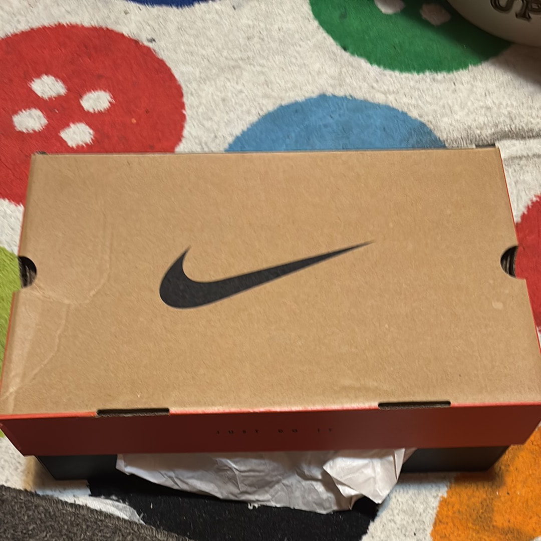 Nike Air DT Max 96 "Falcons"