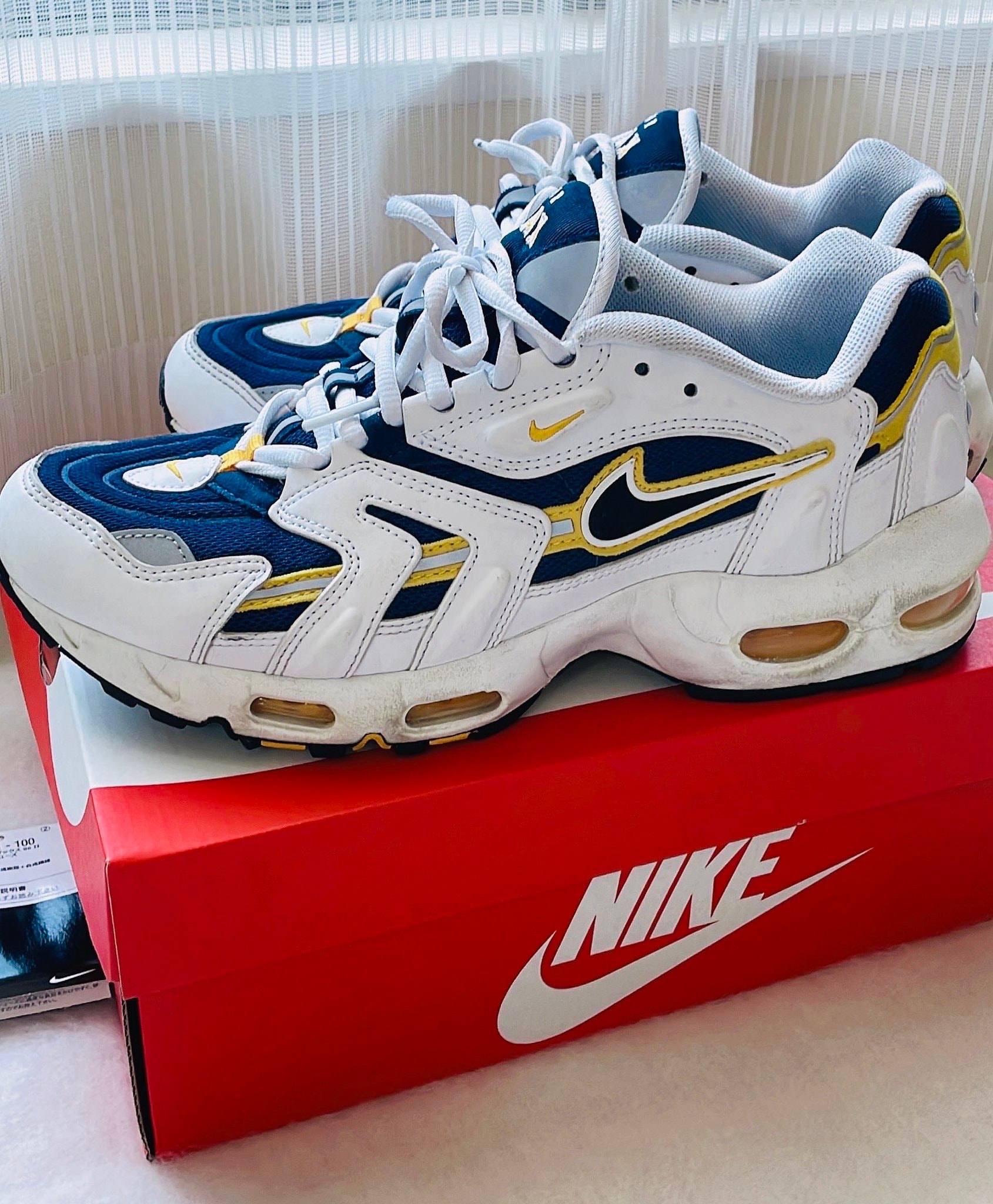 ナイキ エアマックス96 2 "スモークグレー"