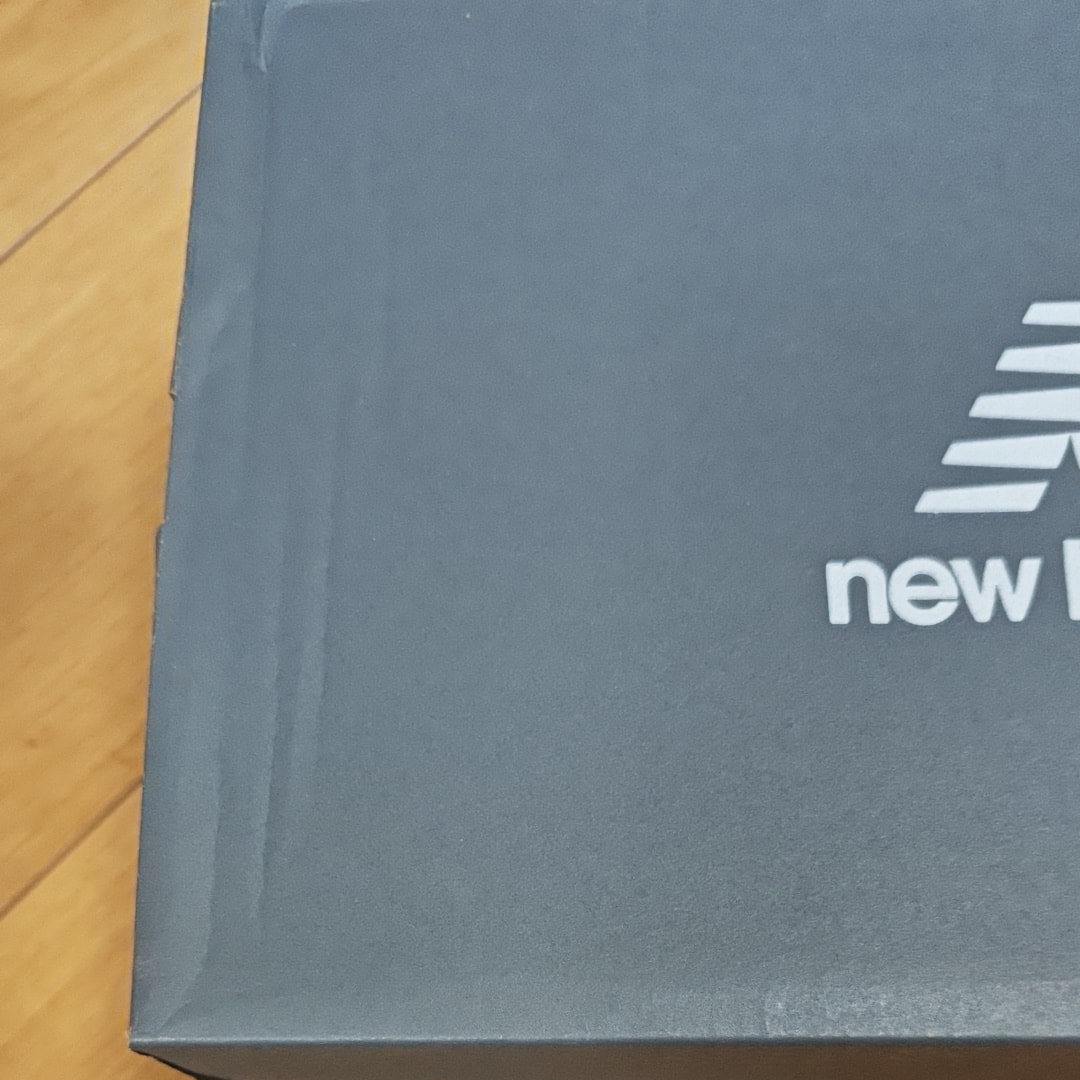 New Balance 1906L "Rich Oak Suede"