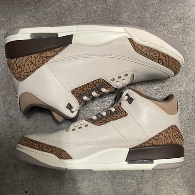 Nike Air Jordan 3 Retro "Orewood Brown"