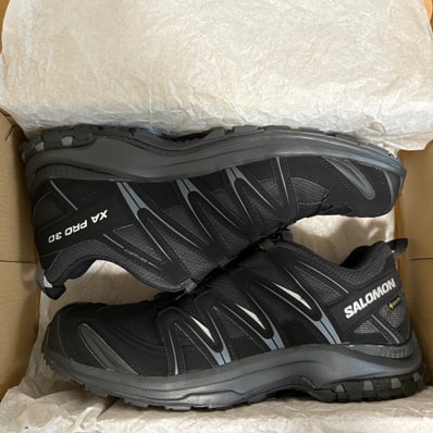 Salomon XA Pro 3D GORE-TEX "Black/Magnet" L39332200