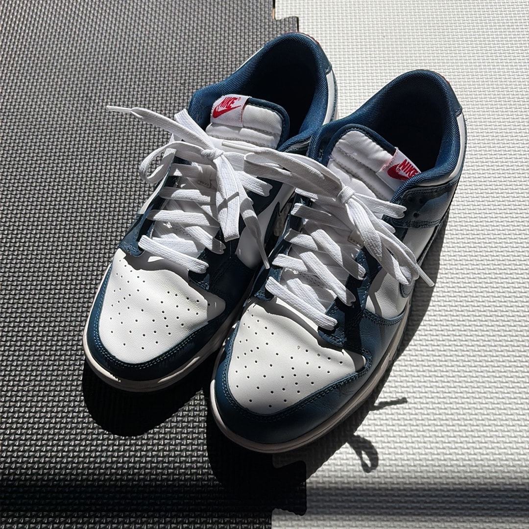 Nike Dunk Low "Valerian Blue"