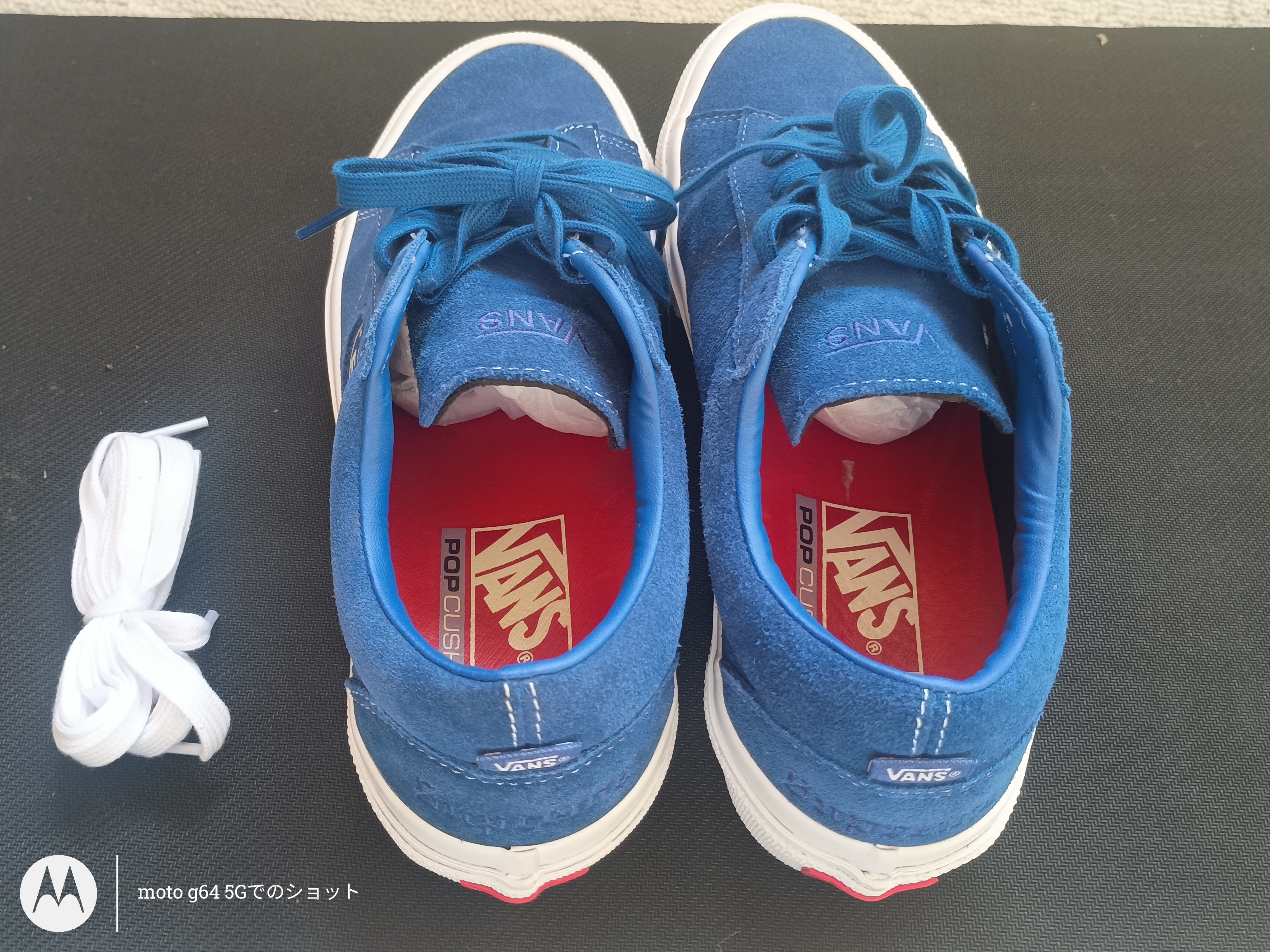 シュプリーム × バンズ シド "ブルー"