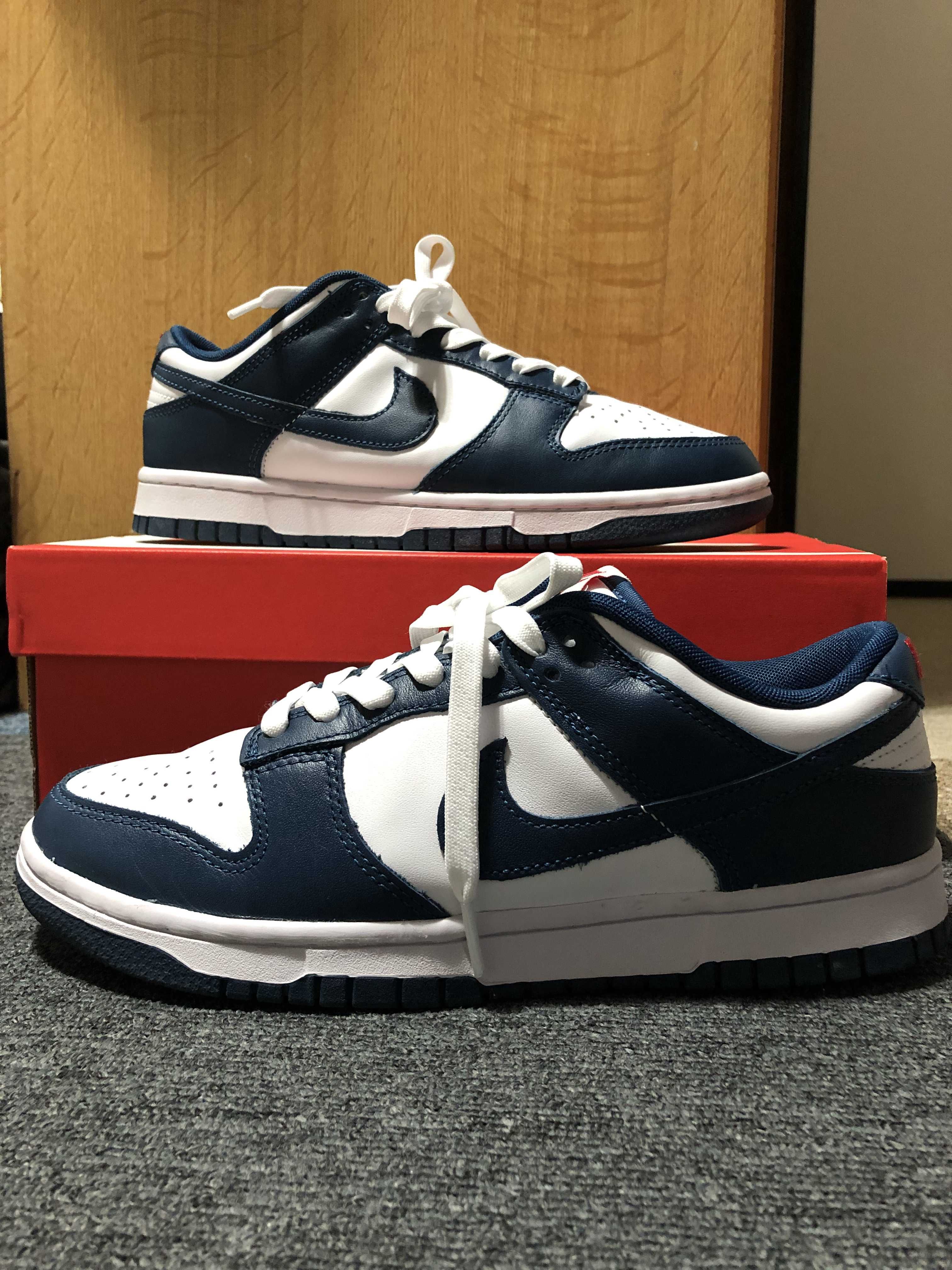 Nike Dunk Low "Valerian Blue"