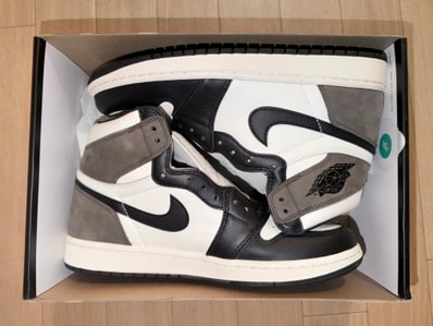 Nike Air Jordan 1 High OG "Sail/Dark Mocha/Black"
