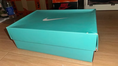 Tiffany & Co. × Nike Air Force 1 Low "1837"