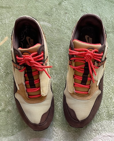 Travis Scott × Nike Air Max 1 "CACT.US Brown"