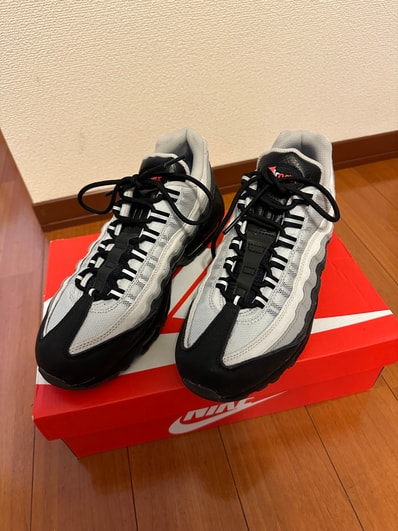 Nike Air Max 95 Koi "Pure Platinum"