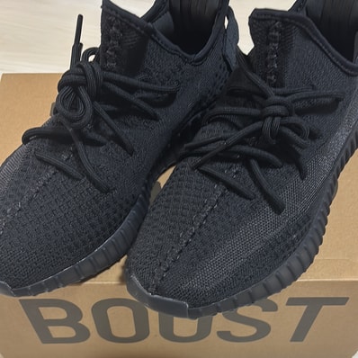 adidas YEEZY Boost 350V2 "Onyx"