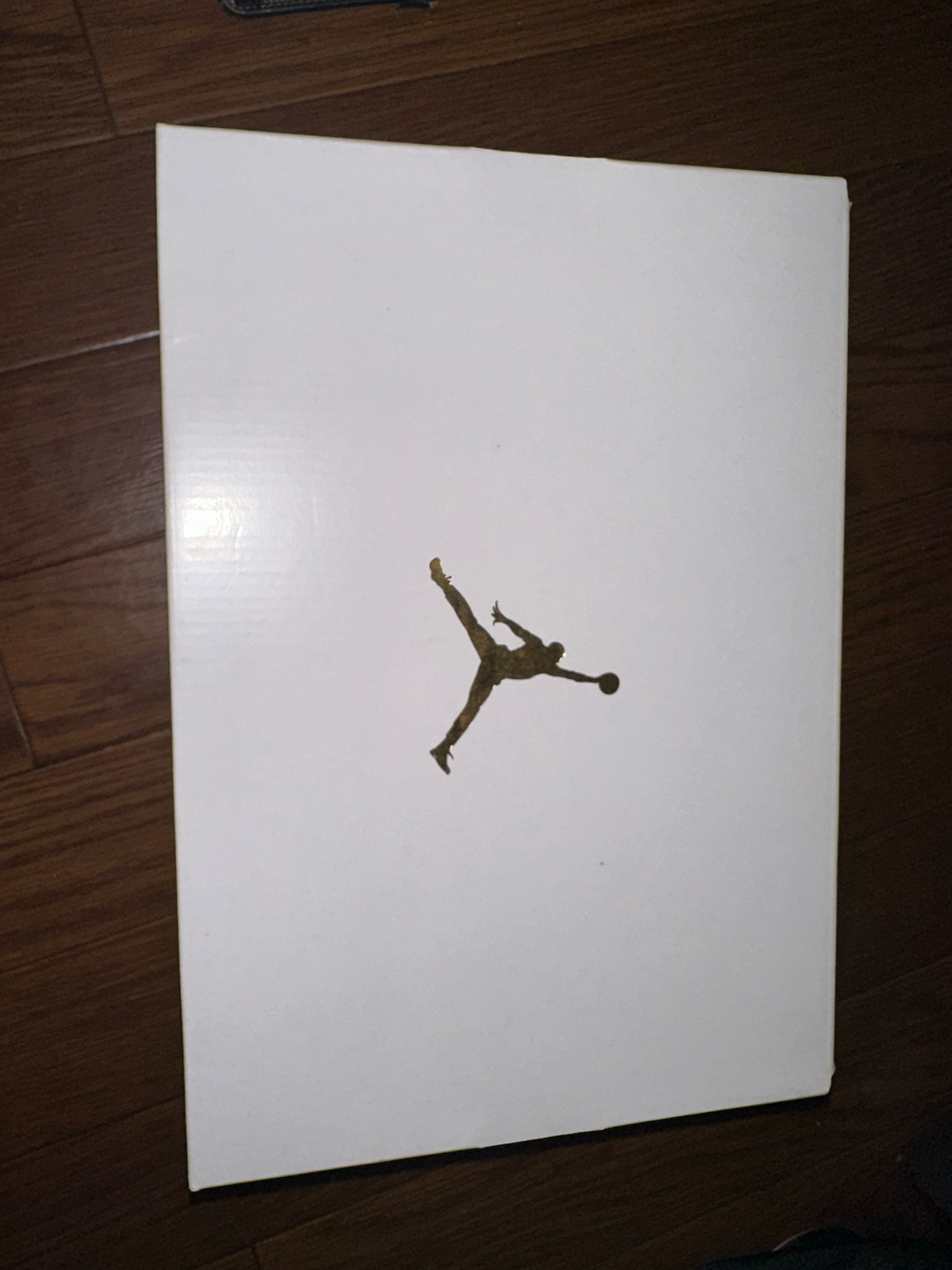 Nike Women's Air Jordan 1 Low "Aluminum" (2025)