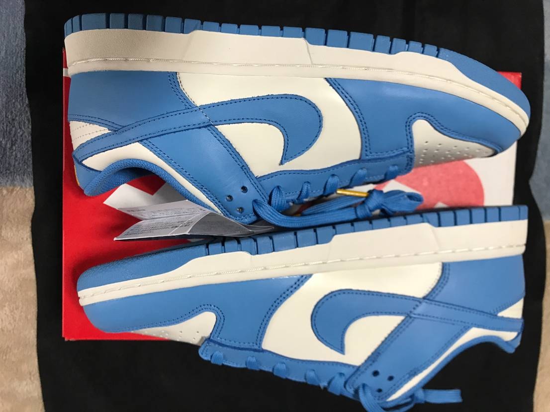 Nike Women's Dunk Low "Coast"