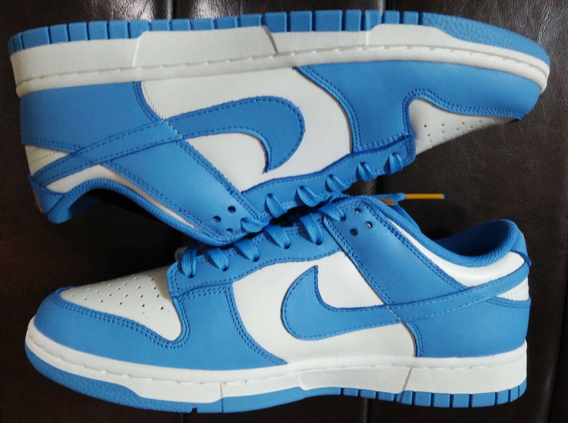 Nike Women's Dunk Low "Coast"