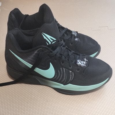 Nike Ja 2 "Tiffany Swoosh" (FD7328-003/FD7327-003)