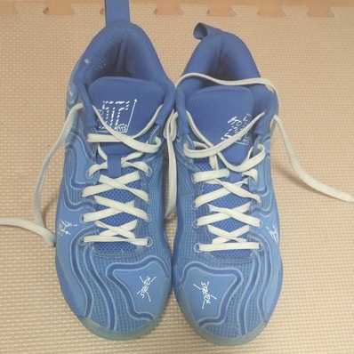 Nike Jordan Tatum 3 "Blueprint"