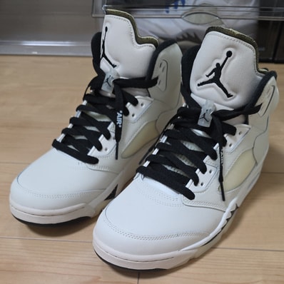 Nike Air Jordan 5 Retro SE "Sail"