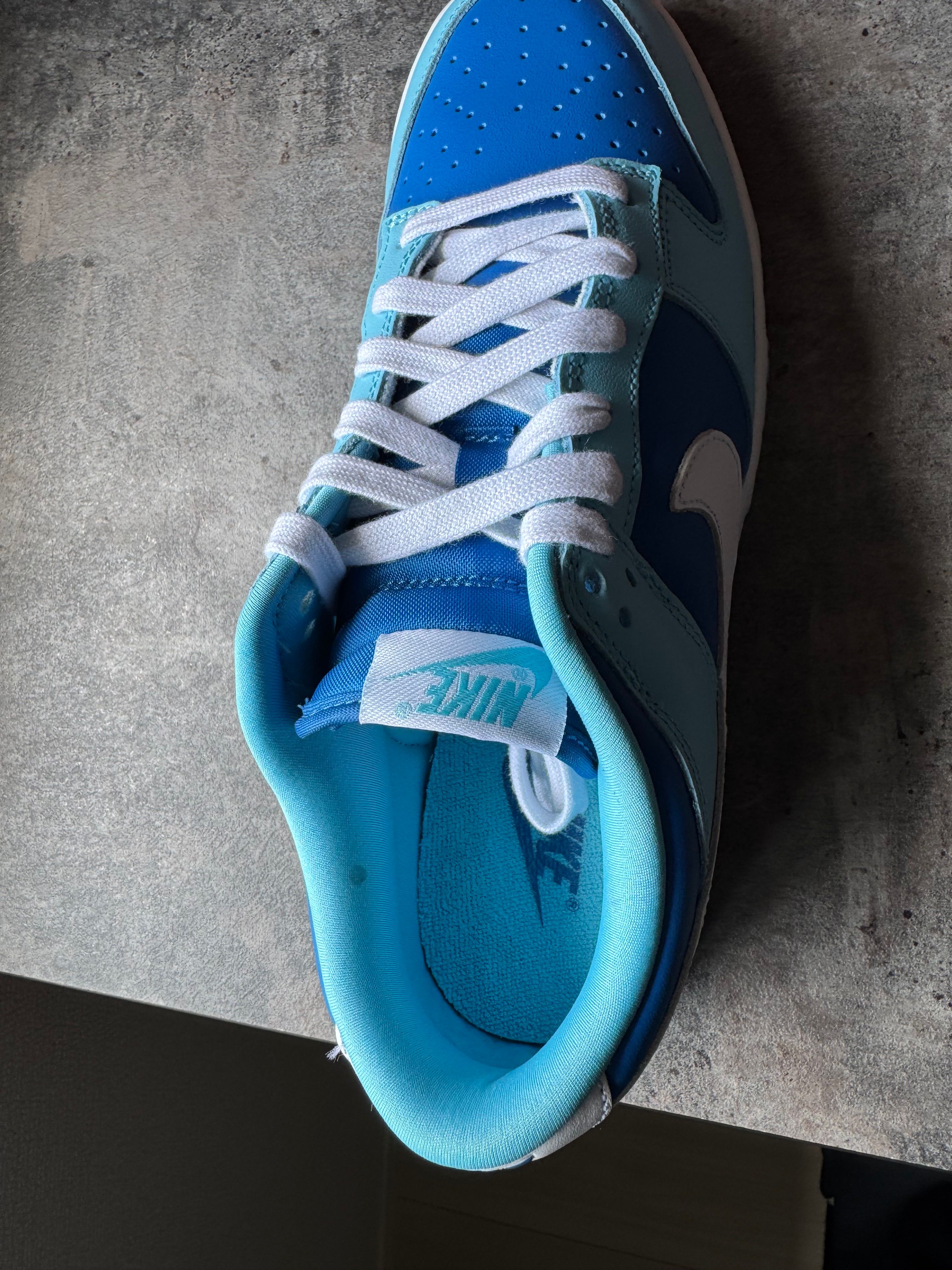 Nike Dunk Low Retro QS "Argon" (2022)