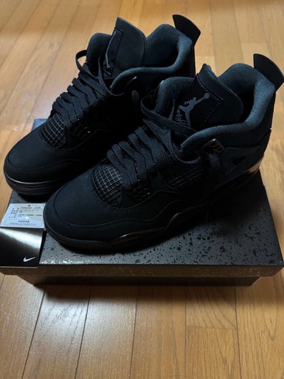 Nike Air Jordan 4 Retro OG "Black Cat" (2025)