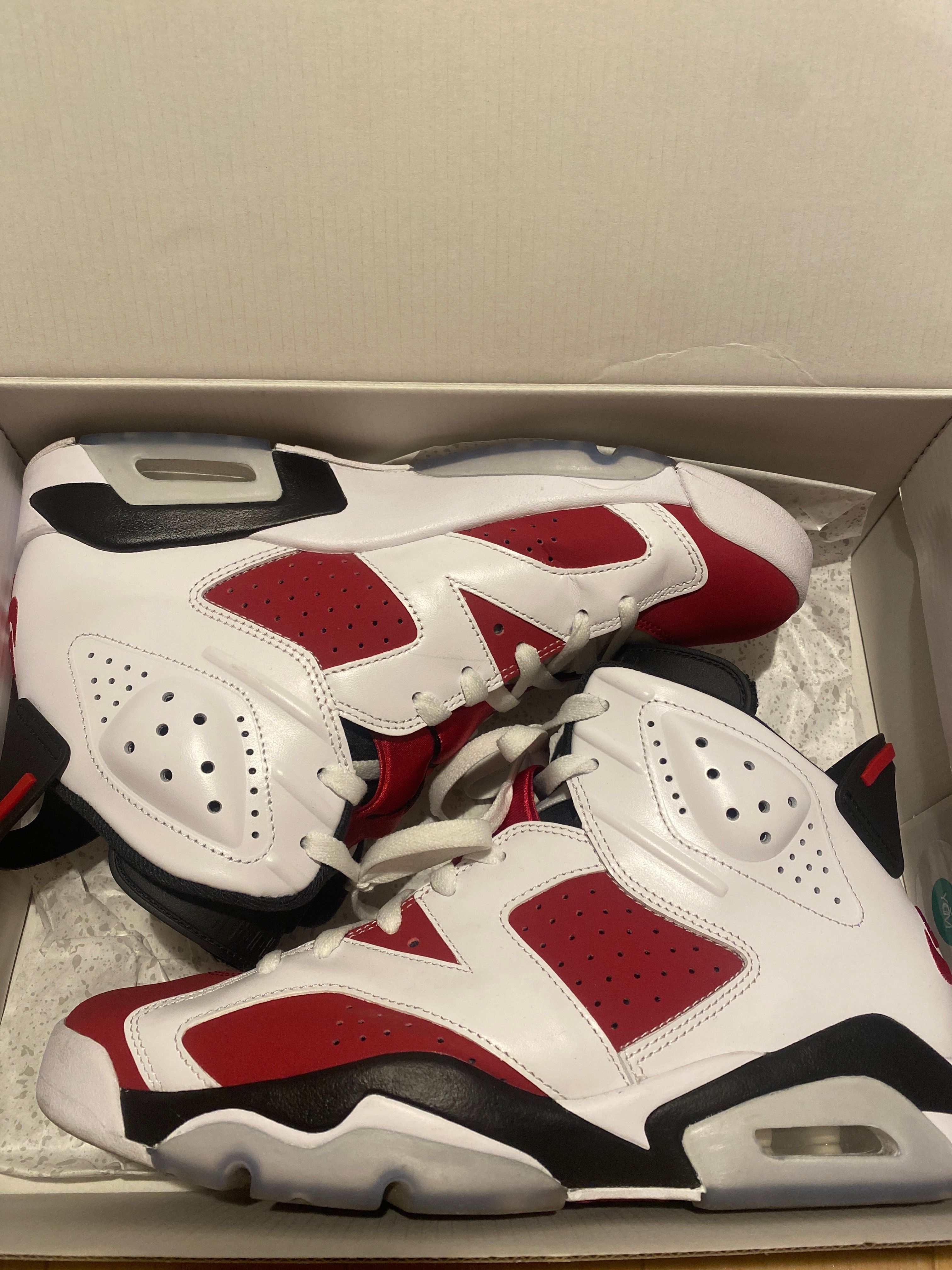 Nike Air Jordan 6 "Carmine" (2021)