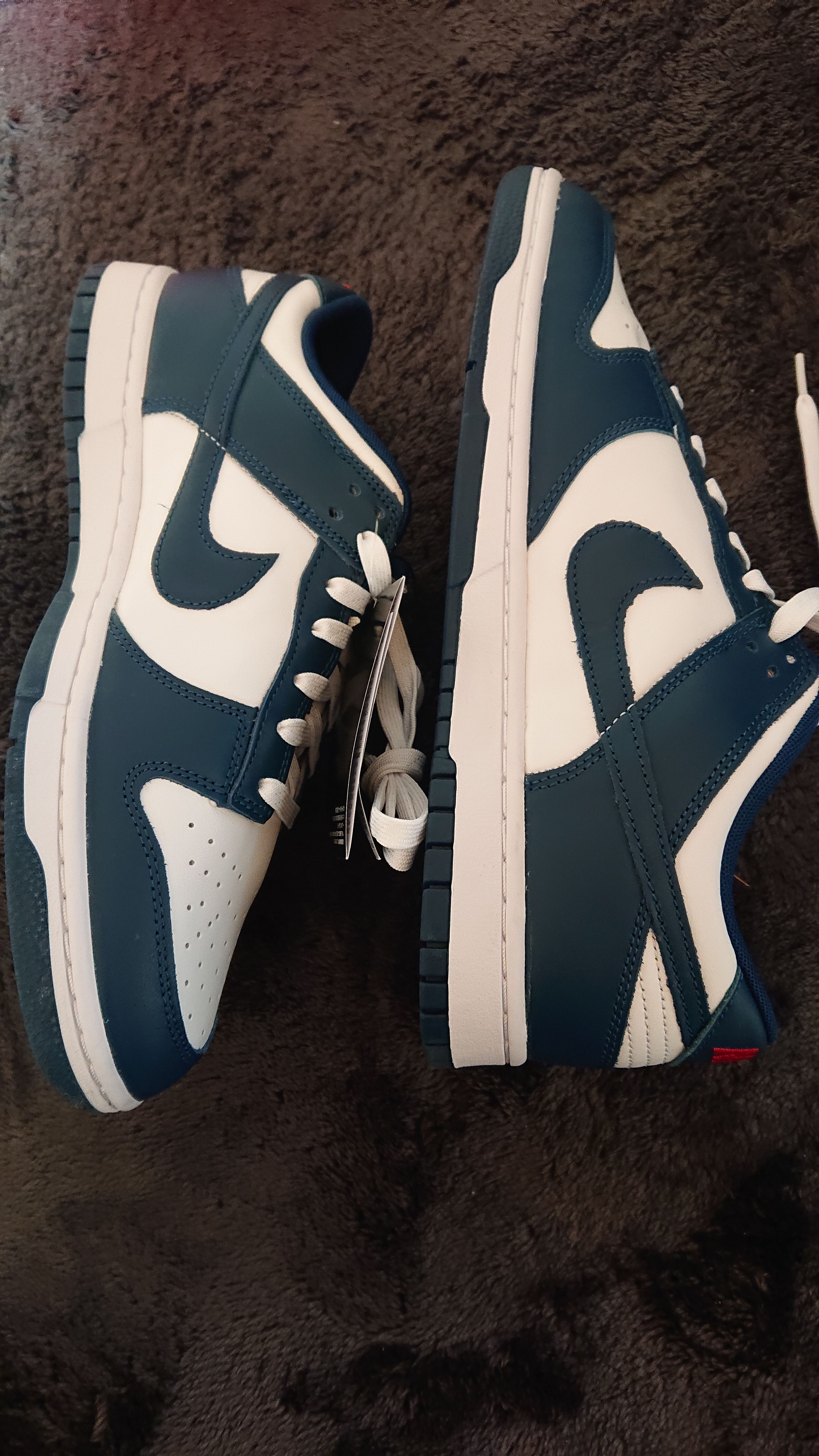 Nike Dunk Low "Valerian Blue"