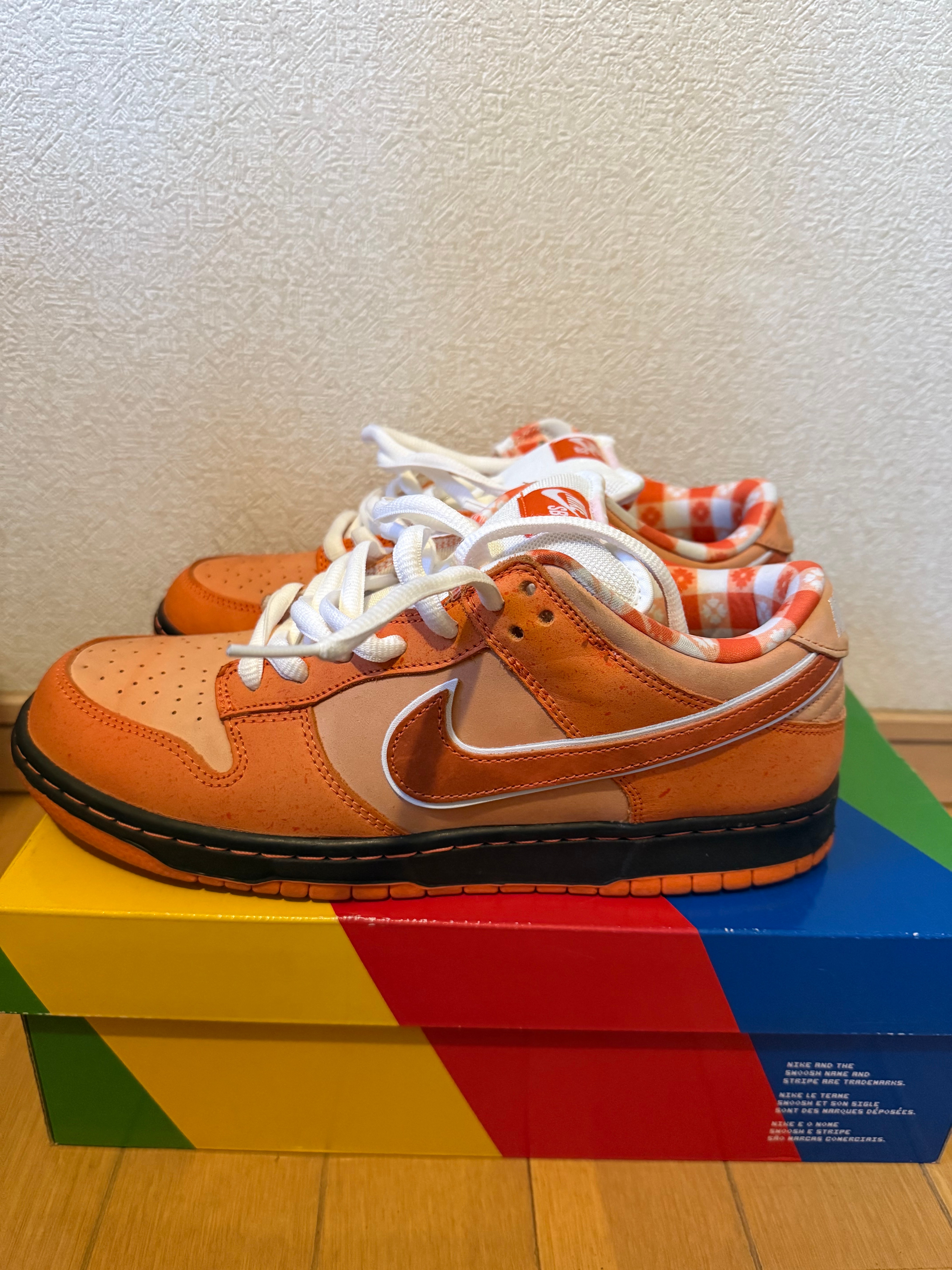 コンセプツ × ナイキ SB ダンク ロー SP 