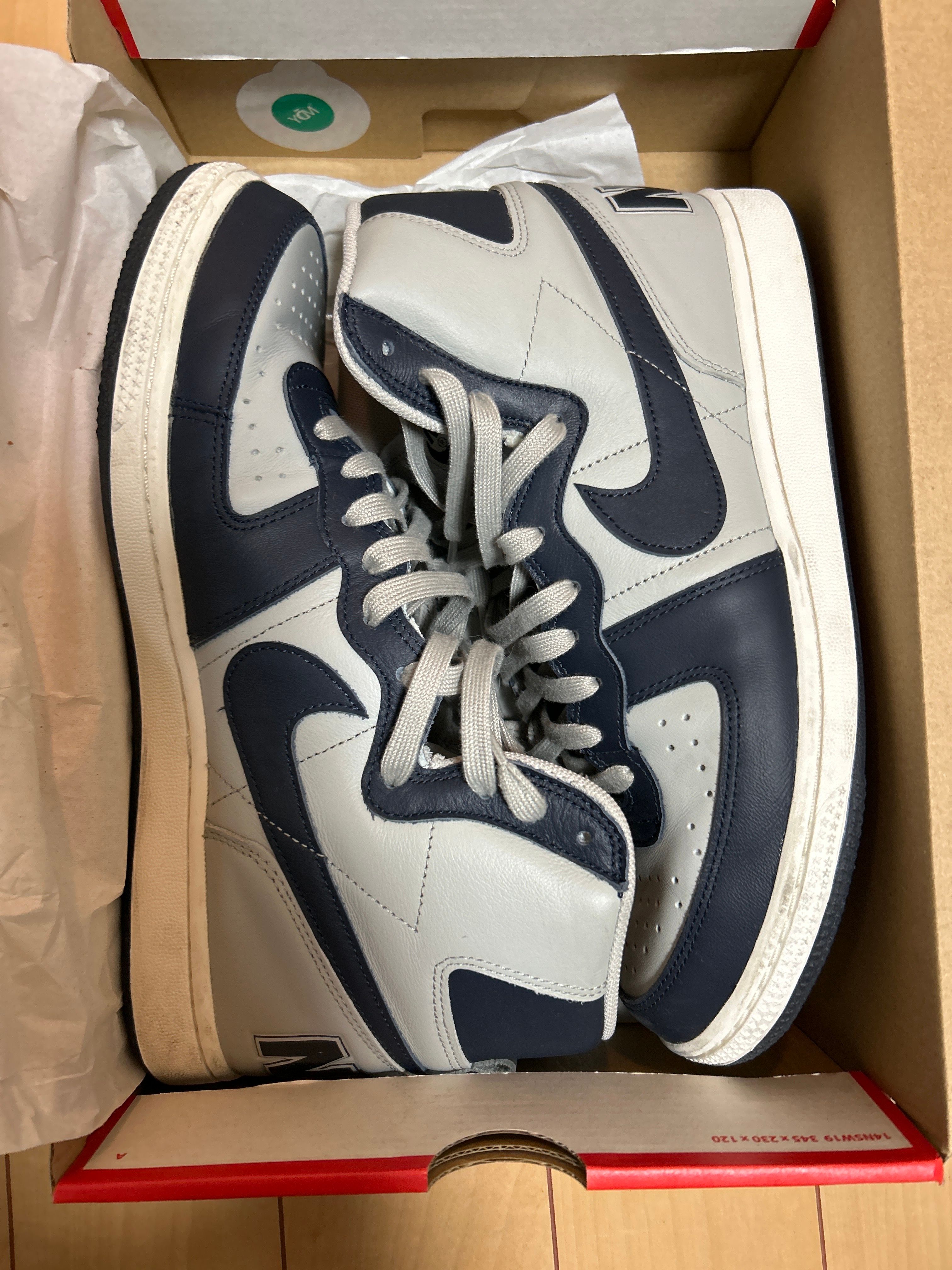 Nike Terminator High "Georgetown/Granite and Dark Obsidian"(2022)