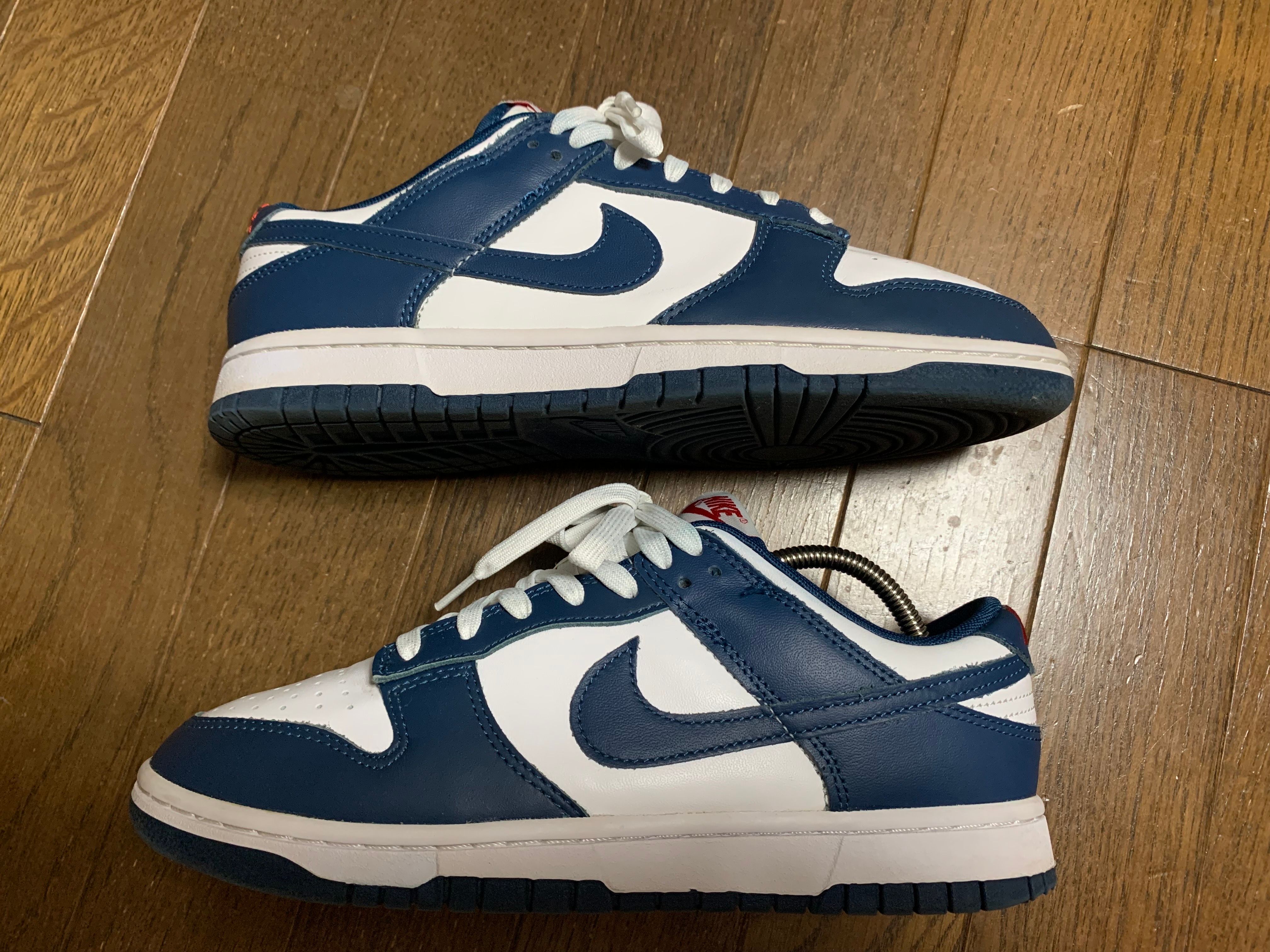 Nike Dunk Low "Valerian Blue"