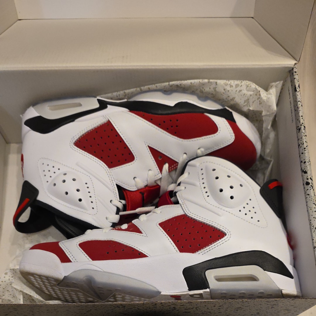 Nike Air Jordan 6 "Carmine" (2021)