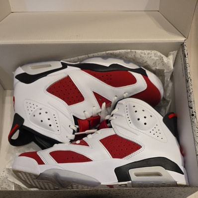 Nike Air Jordan 6 "Carmine" (2021)