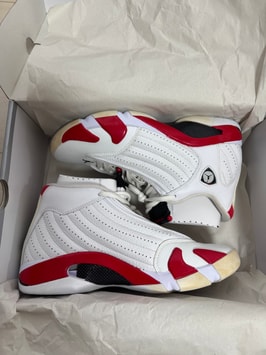 ナイキ エアジョーダン14 リップ ハミルトン