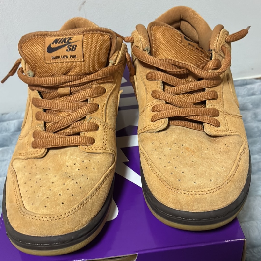 Nike SB Dunk Low Pro 